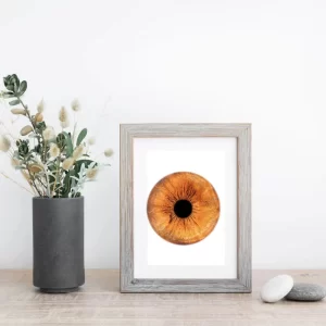 iris masaüstü baskı