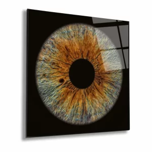 iris-photography-2 kopya