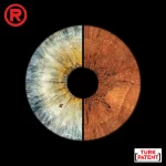 bolmeli-iris-birlesme-tasarimi