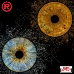 dijital-birlesim-ikili-iris-tasarimi