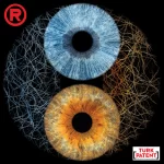 orumcek-ag-ikili-iris-tasarimi