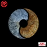 yingyang-ikil-iris-tasarim