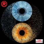 yingyang-ikili-carpisma-tasarimi